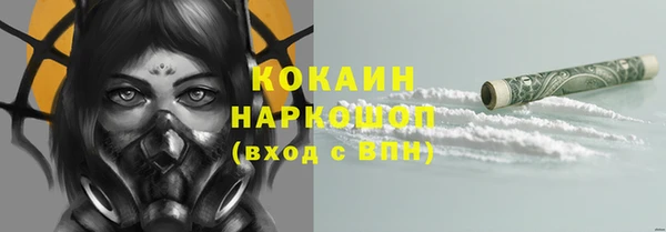 соль ск Снежинск
