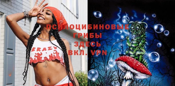 spice Алзамай