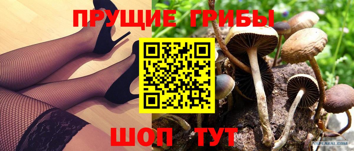 Когалым  Галлюциногенные грибы мицелий  Вход с VPN 